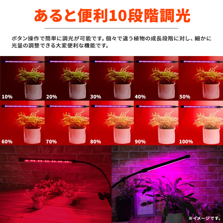 植物育成ライト　LED