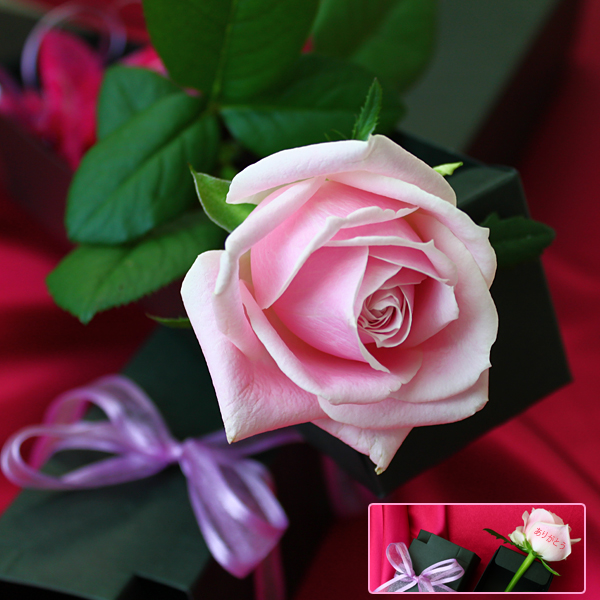 メッセージフラワー バラの花 大切な人へ 薔薇 電光ホーム